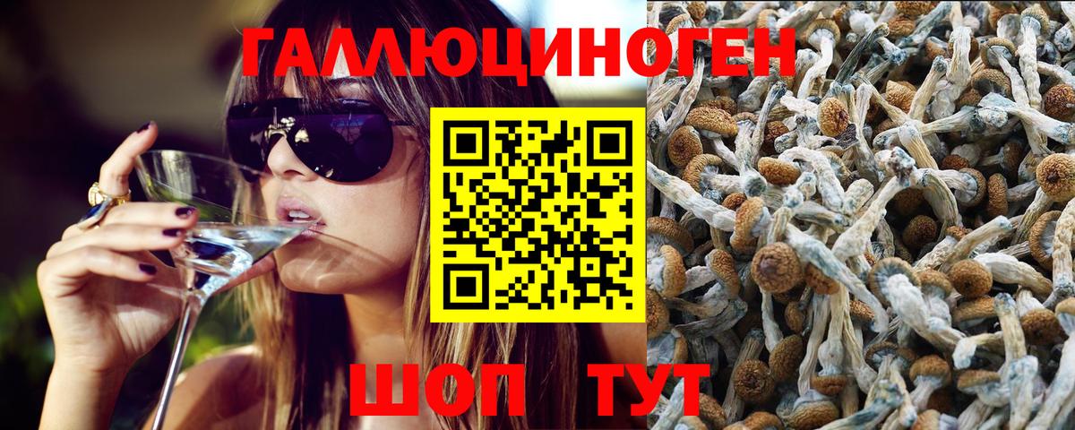 Галлюциногенные грибы мухоморы  Вход с VPN  Артём 